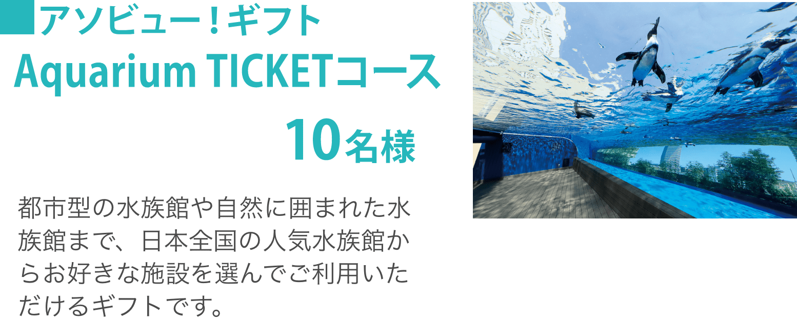 アソビュー!ギフト Aquarium TICKETコース10名様：都市型の水族館や自然に囲まれた水族館まで、日本全国の人気水族館からお好きな施設を選んでご利用いただけるギフトです。